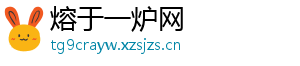 熔于一炉网